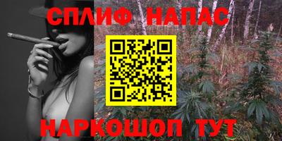 наркотики Новозыбков