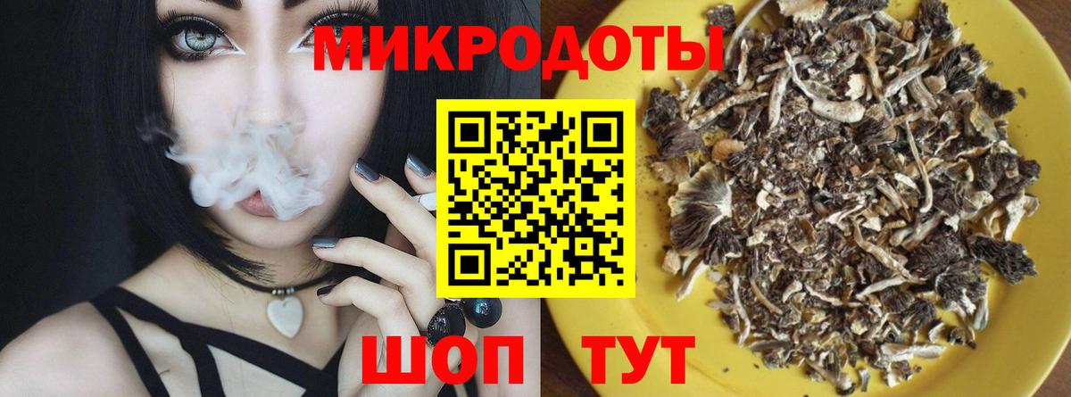 Сорочинск  Псилоцибиновые грибы MAGIC MUSHROOMS  Вход с VPN 