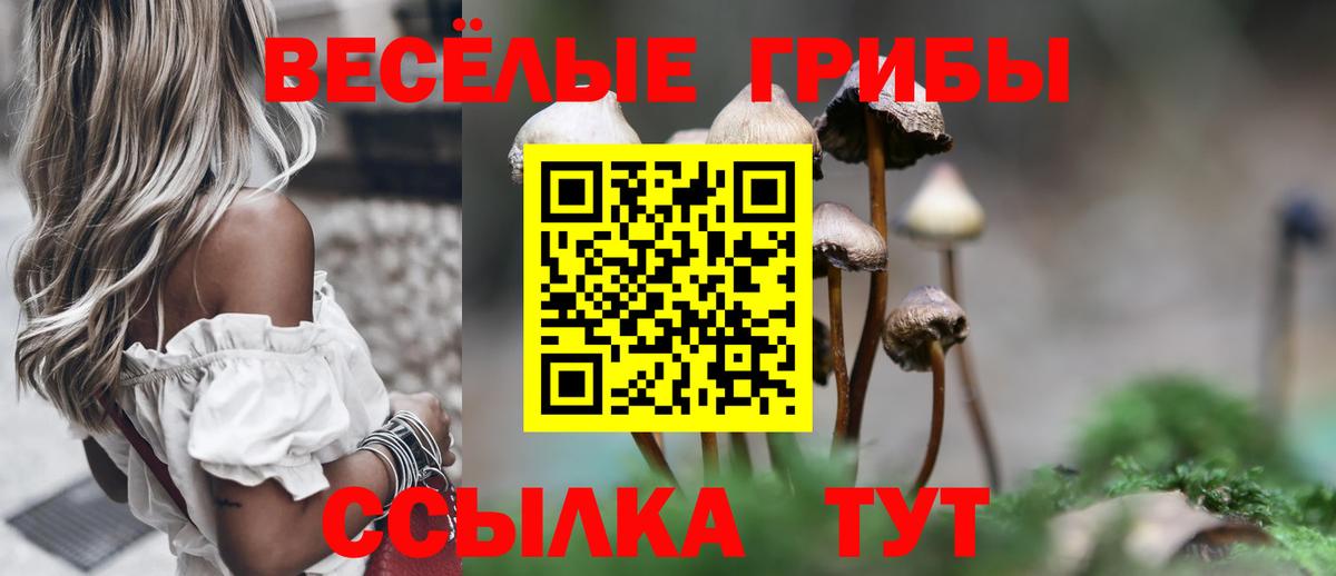 Псилоцибиновые грибы Psilocybe Сорочинск